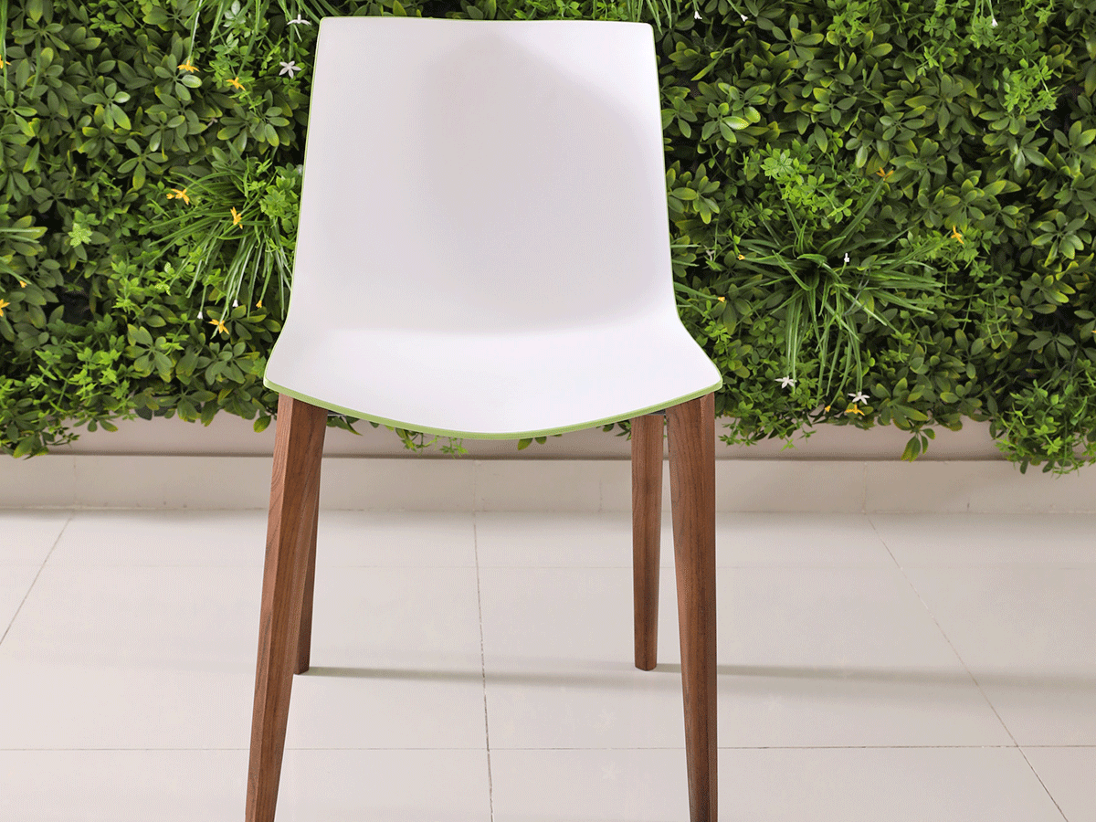white green chair in dark brown ash legs