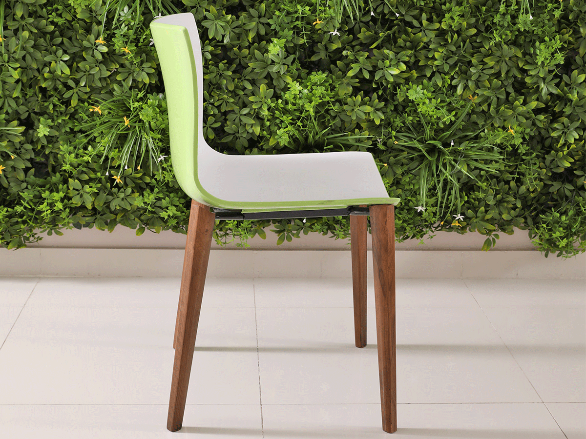 white green chair in dark brown ash legs