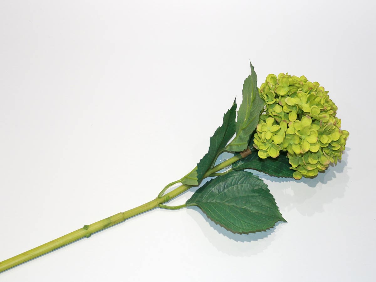 green hydrangea 80cm