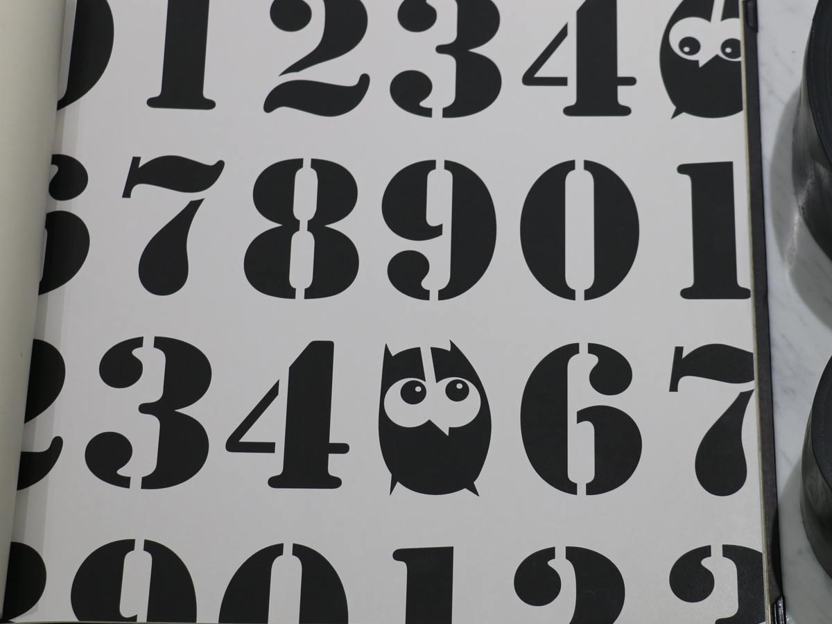 FIONA LIGHT & BRIGHT-351701