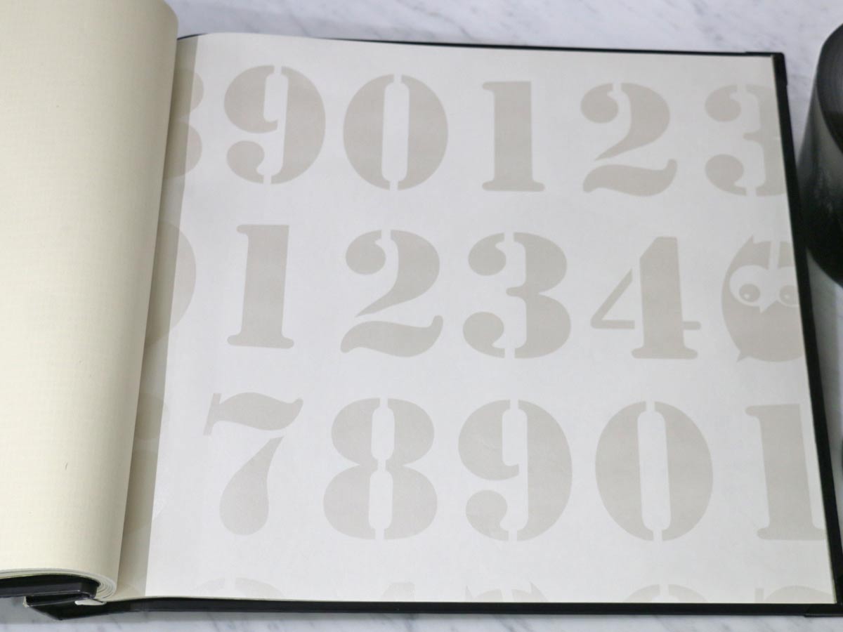 FIONA LIGHT & BRIGHT-351719