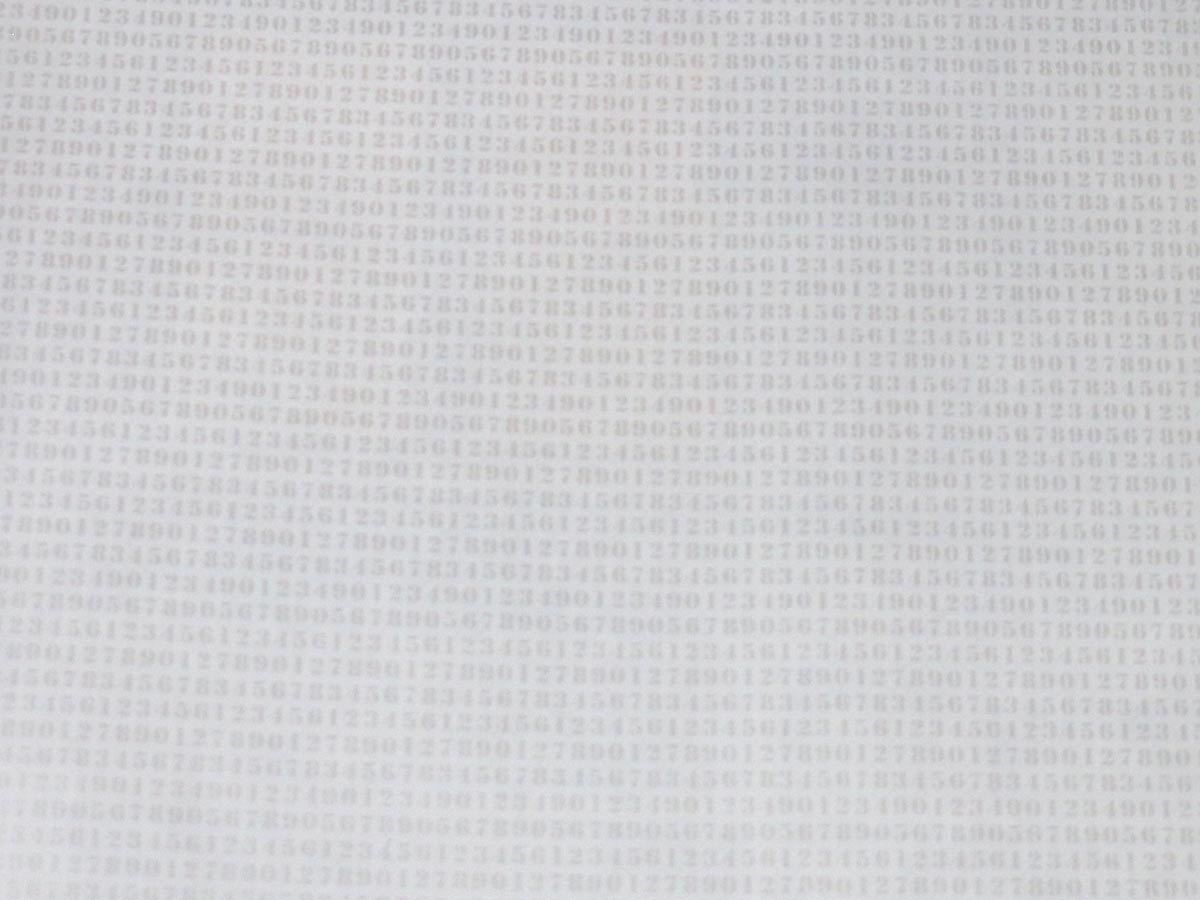 FIONA LIGHT & BRIGHT-351851