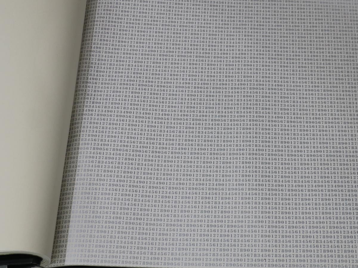 FIONA LIGHT & BRIGHT-351869