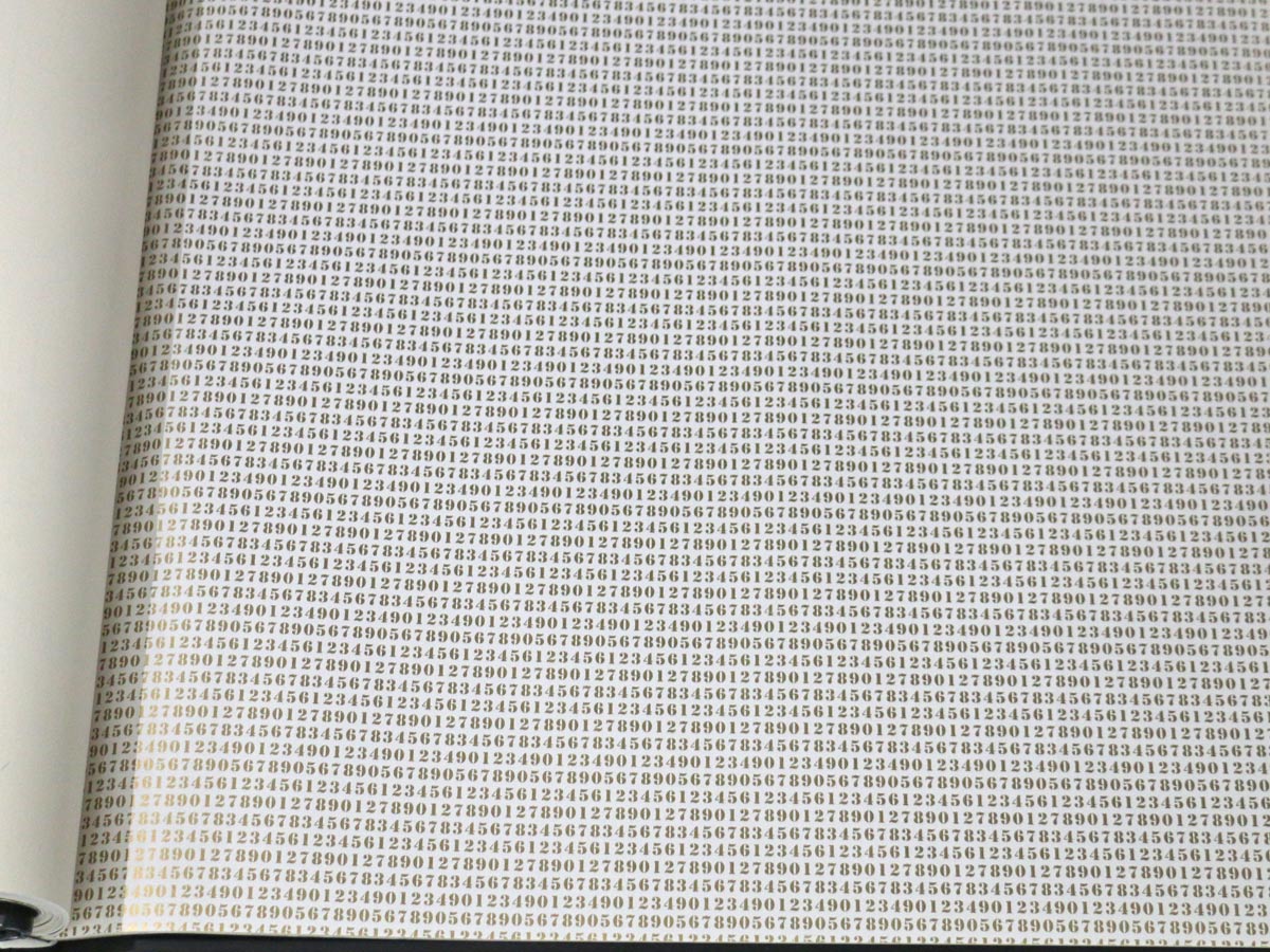 FIONA LIGHT & BRIGHT-351877