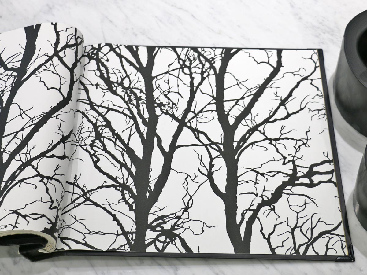 FIONA LIGHT & BRIGHT-351935