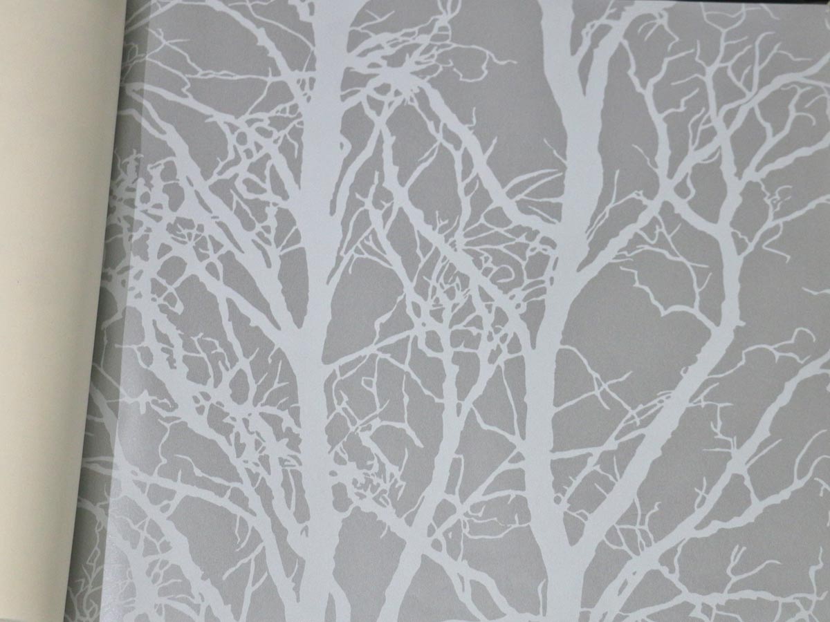 FIONA LIGHT & BRIGHT-351943