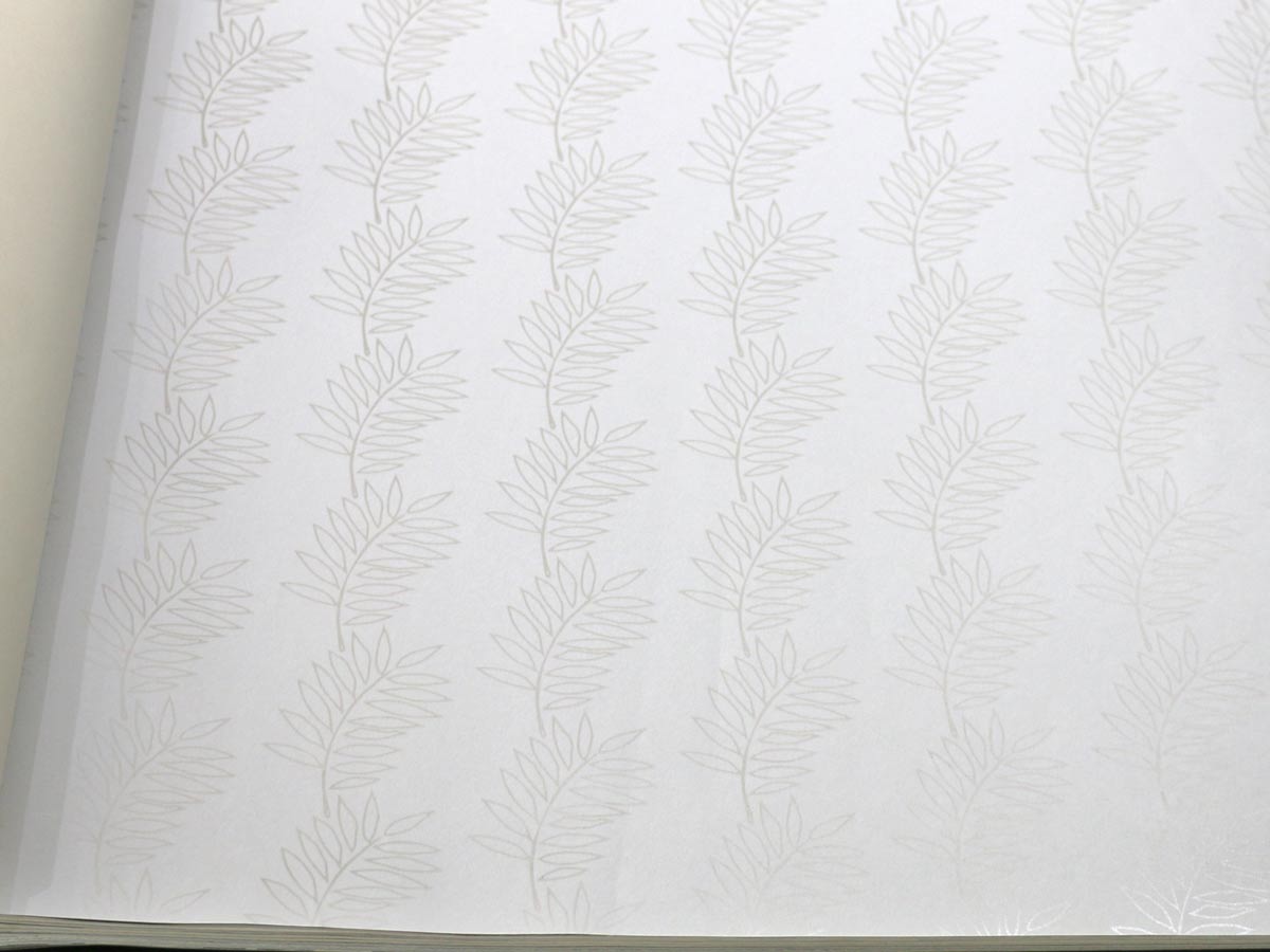 FIONA LIGHT & BRIGHT-352315