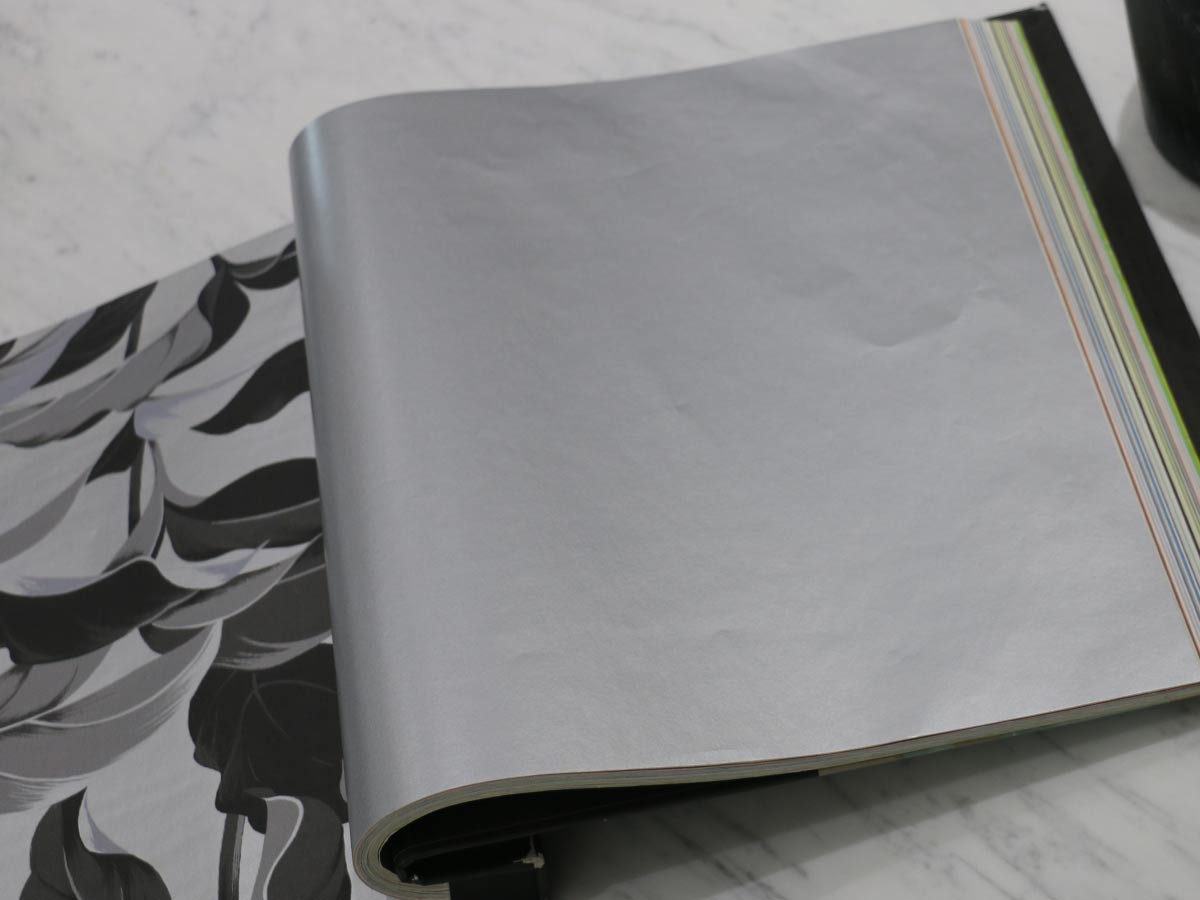 FIONA COLOURS-310002