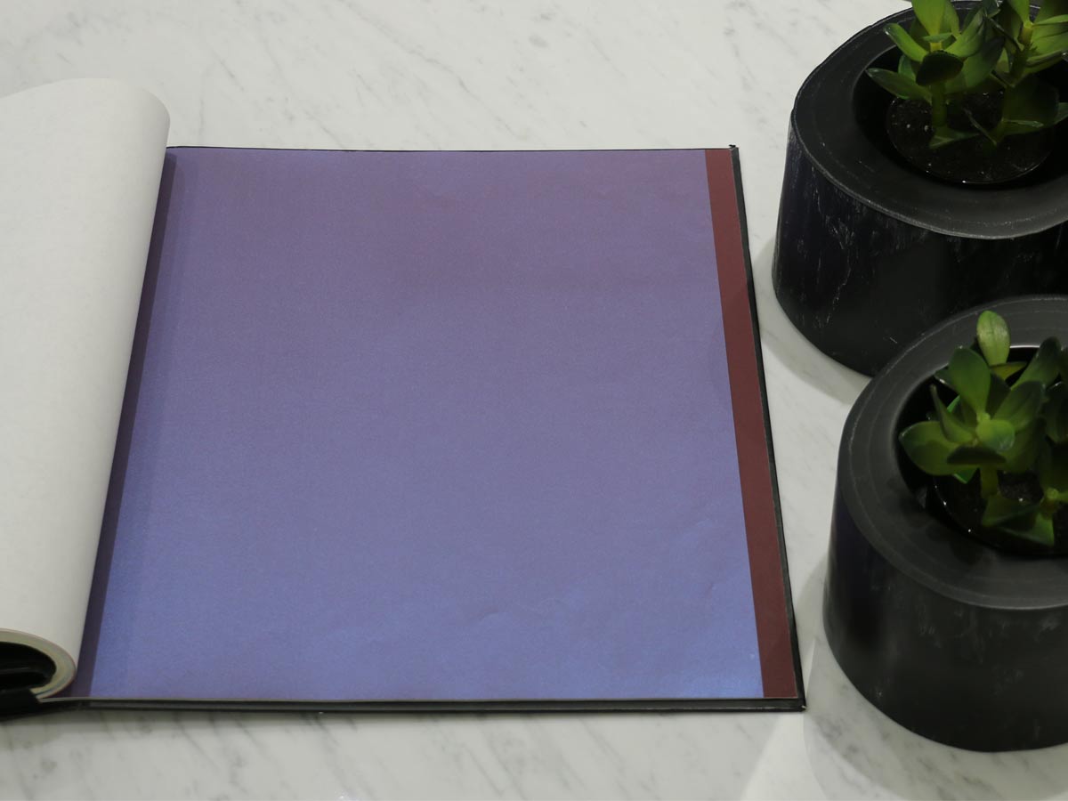 FIONA COLOURS-310003