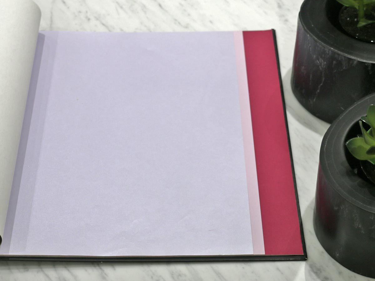 FIONA COLOURS-310005