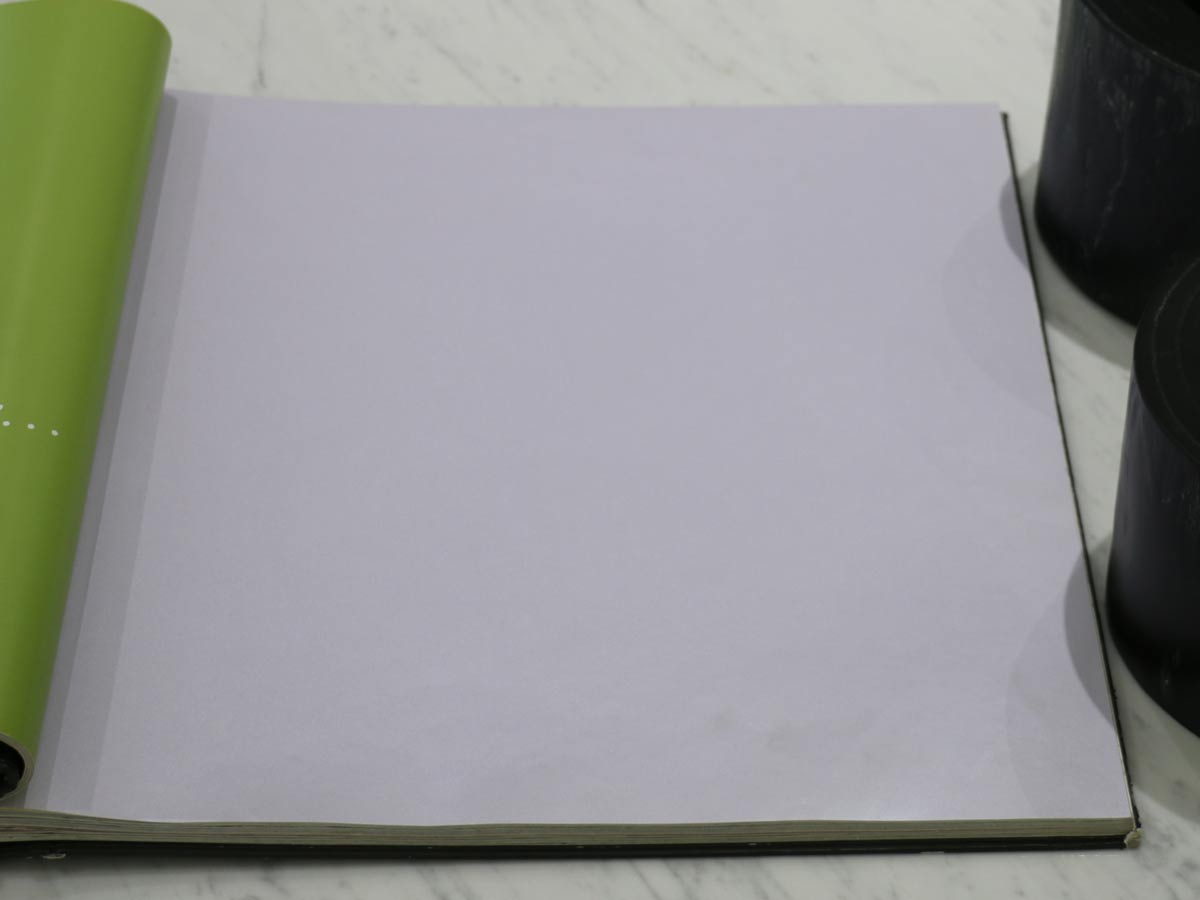 FIONA COLOURS-310005