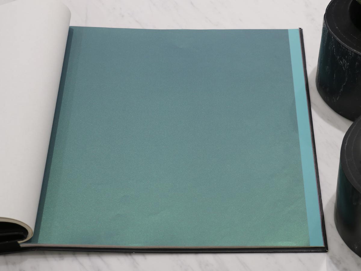 FIONA COLOURS-310009