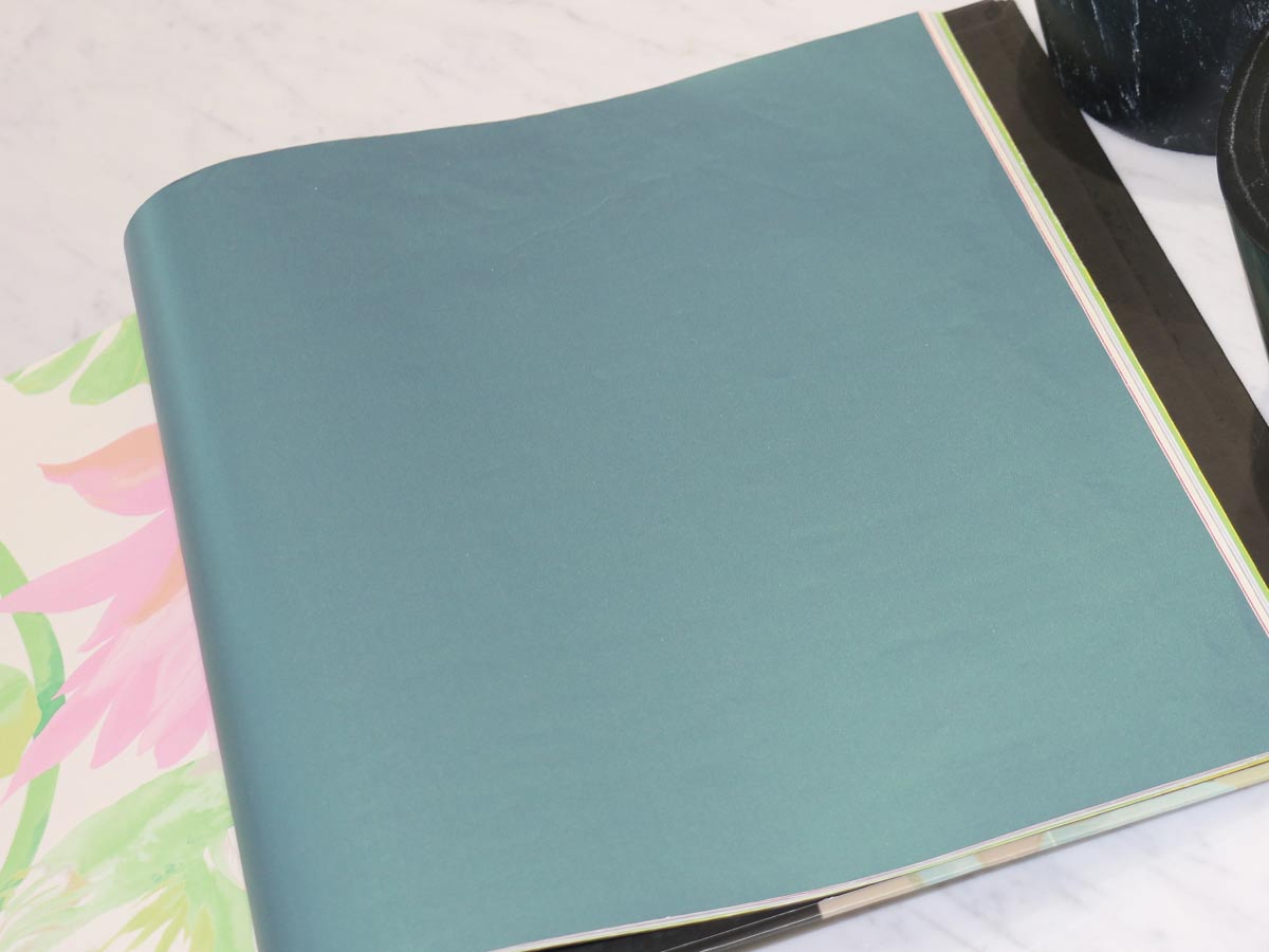 FIONA COLOURS-310009