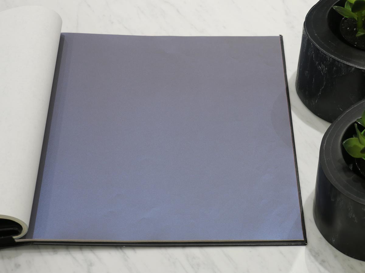 FIONA COLOURS-310011