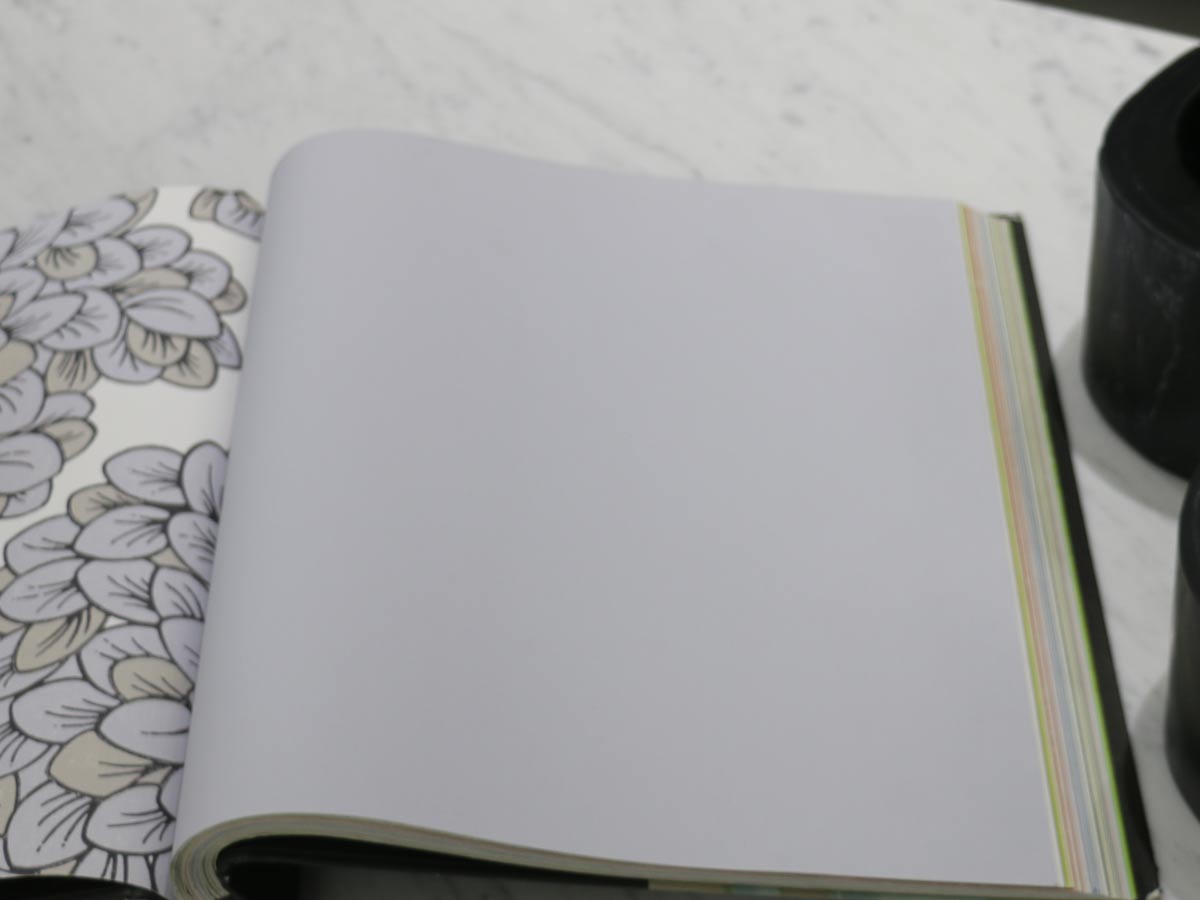 FIONA COLOURS-311002