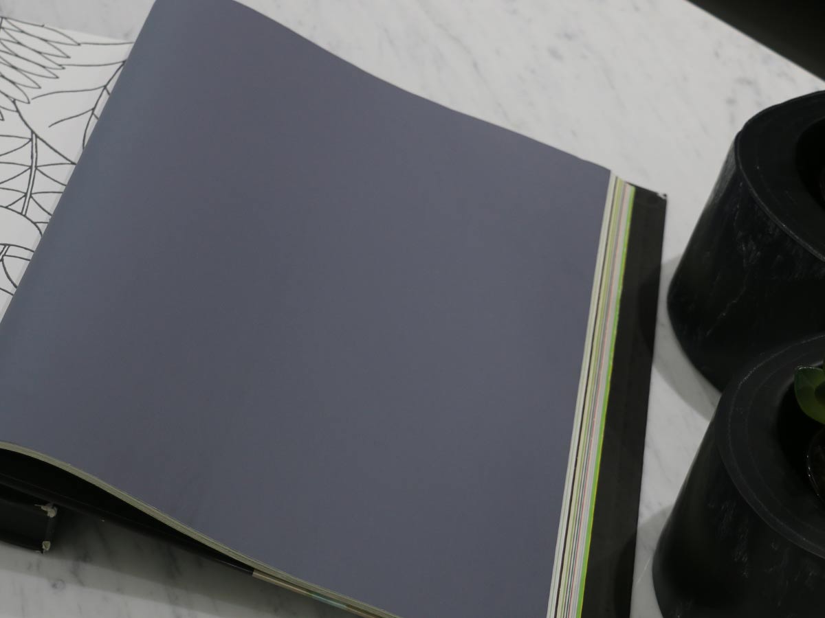 FIONA COLOURS-311004