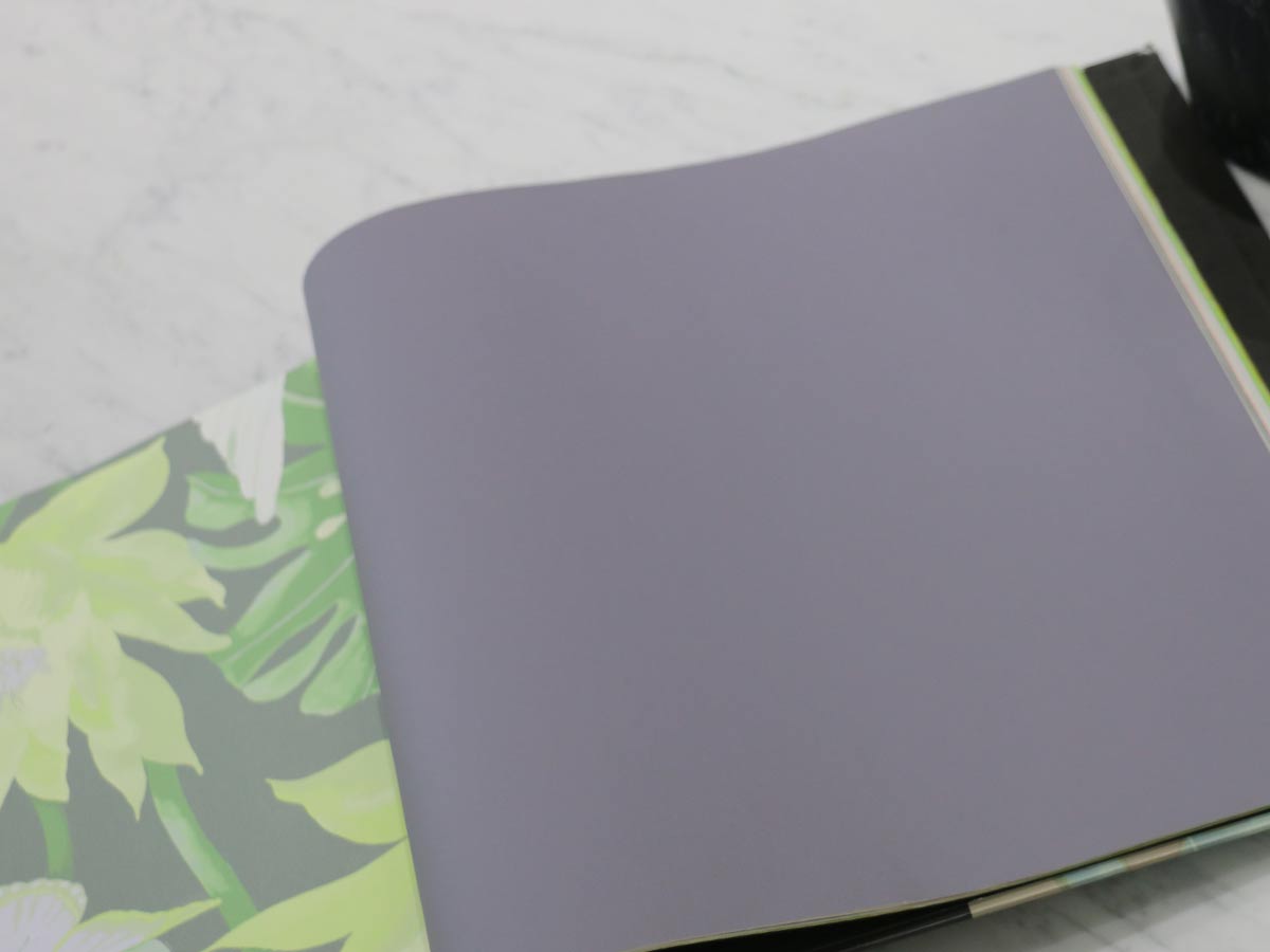 FIONA COLOURS-311005