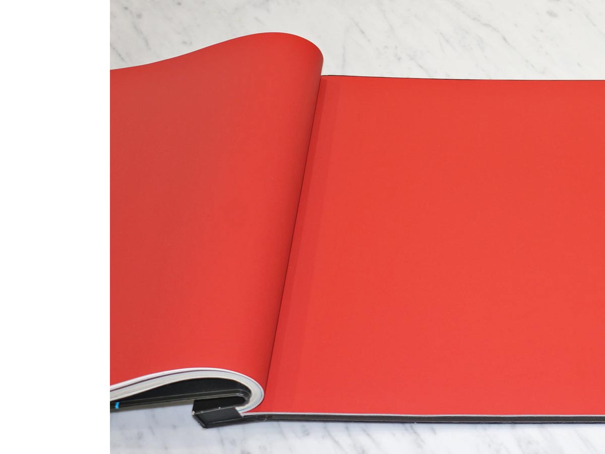 FIONA COLOURS-311007