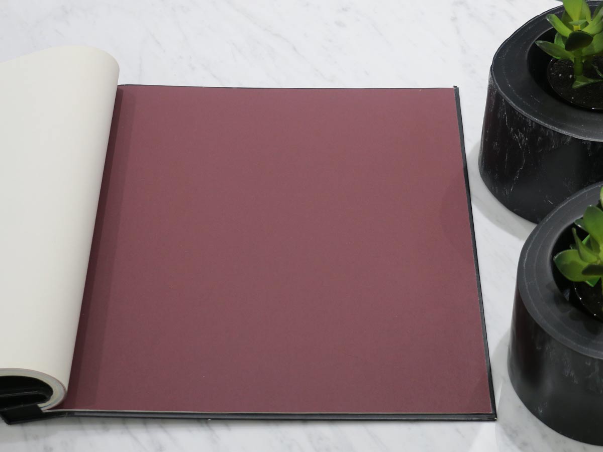 FIONA COLOURS-311009