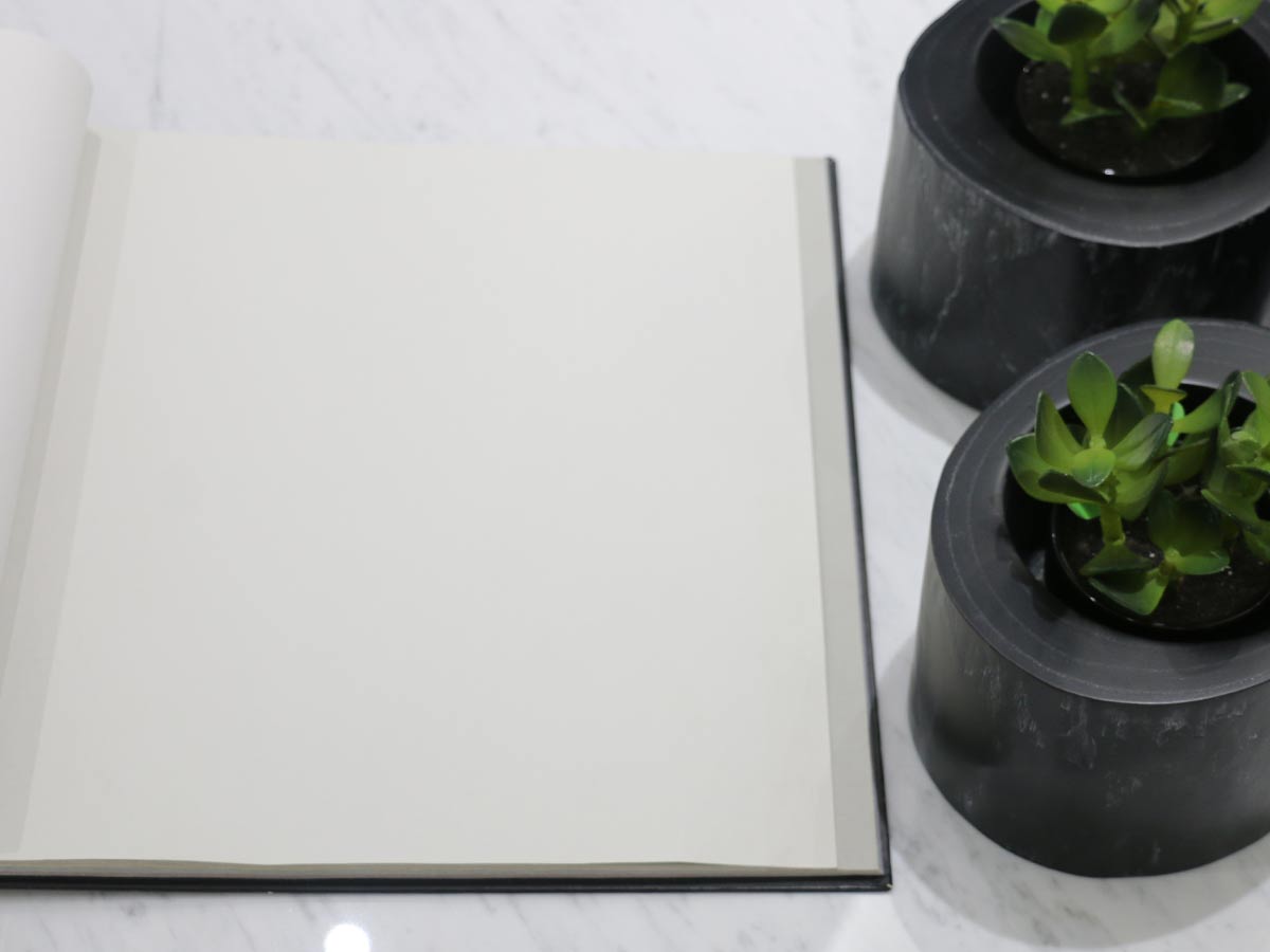 FIONA COLOURS-311013