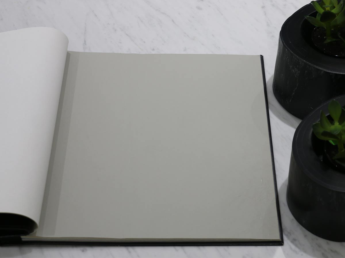 FIONA COLOURS-311016