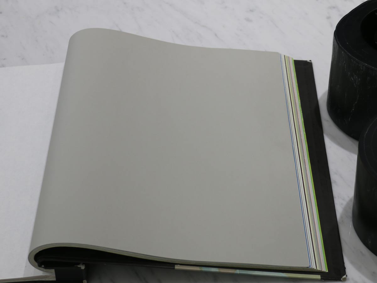 FIONA COLOURS-311016