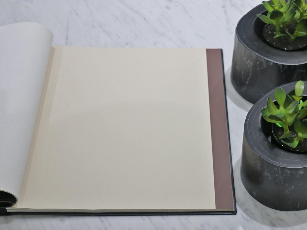 FIONA COLOURS-311020