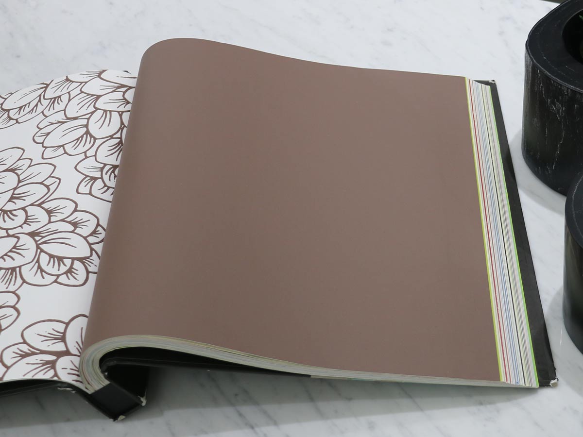 FIONA COLOURS-311022