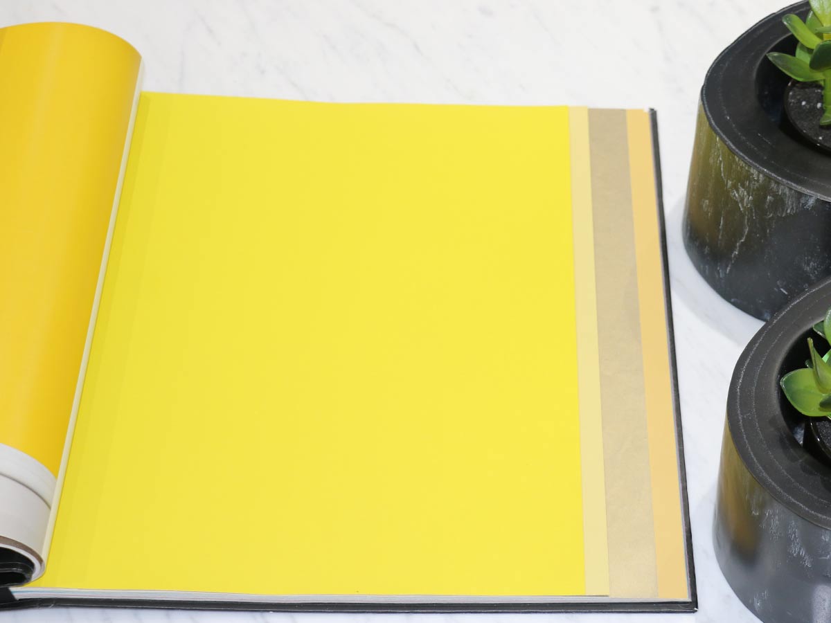 FIONA COLOURS-311023