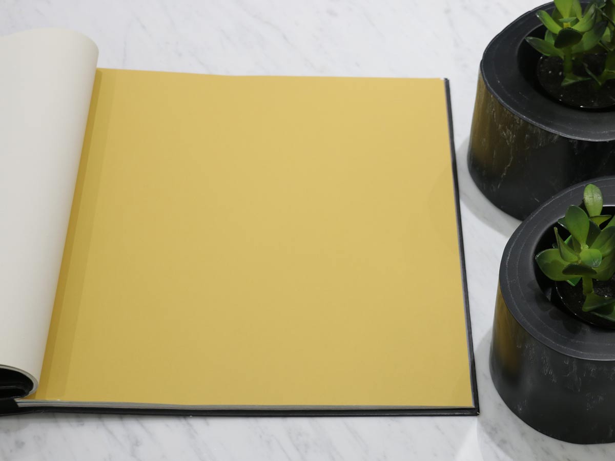 FIONA COLOURS-311025