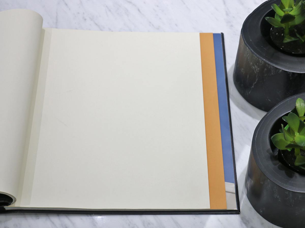 FIONA COLOURS-311026