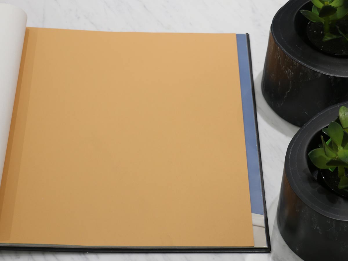 FIONA COLOURS-311028