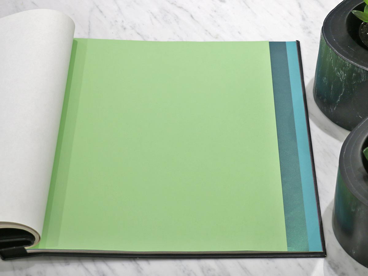 FIONA COLOURS-311031