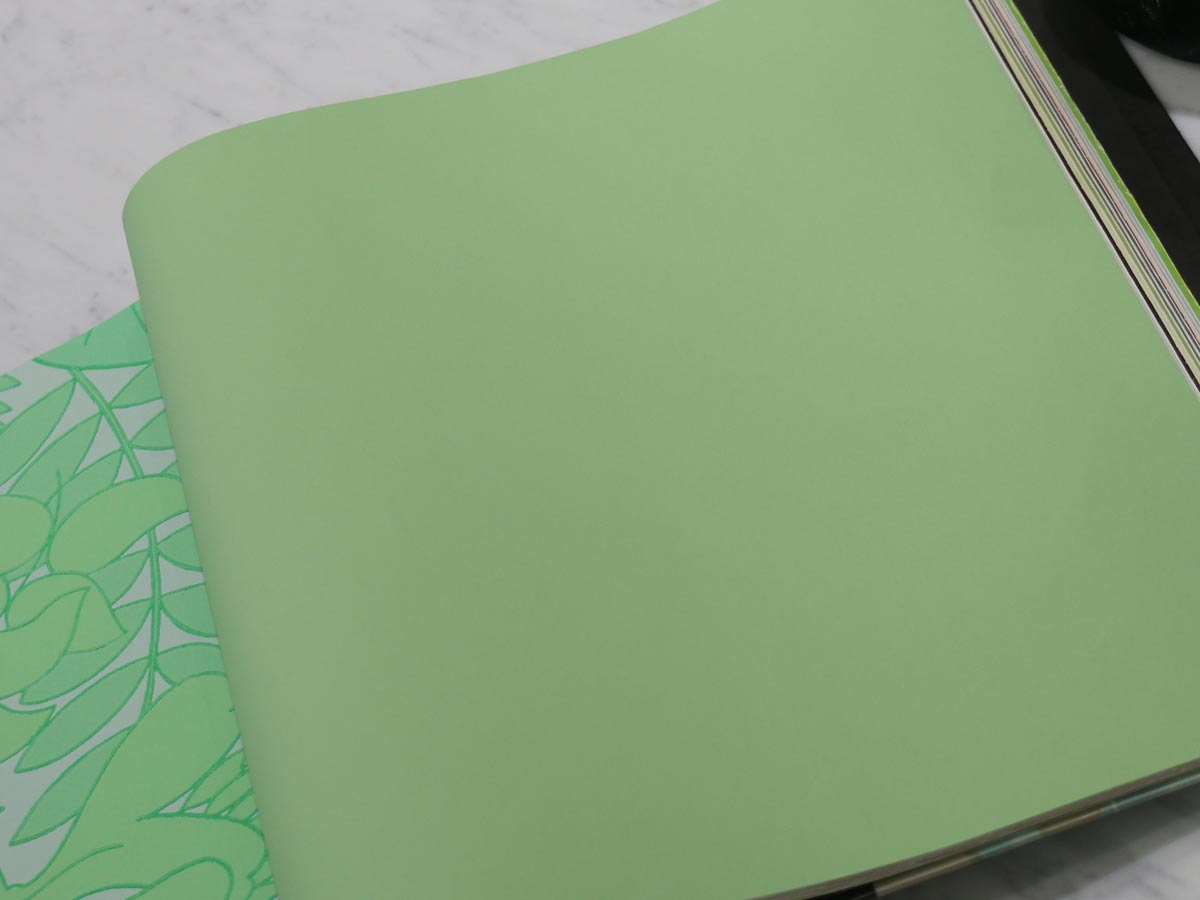 FIONA COLOURS-311031