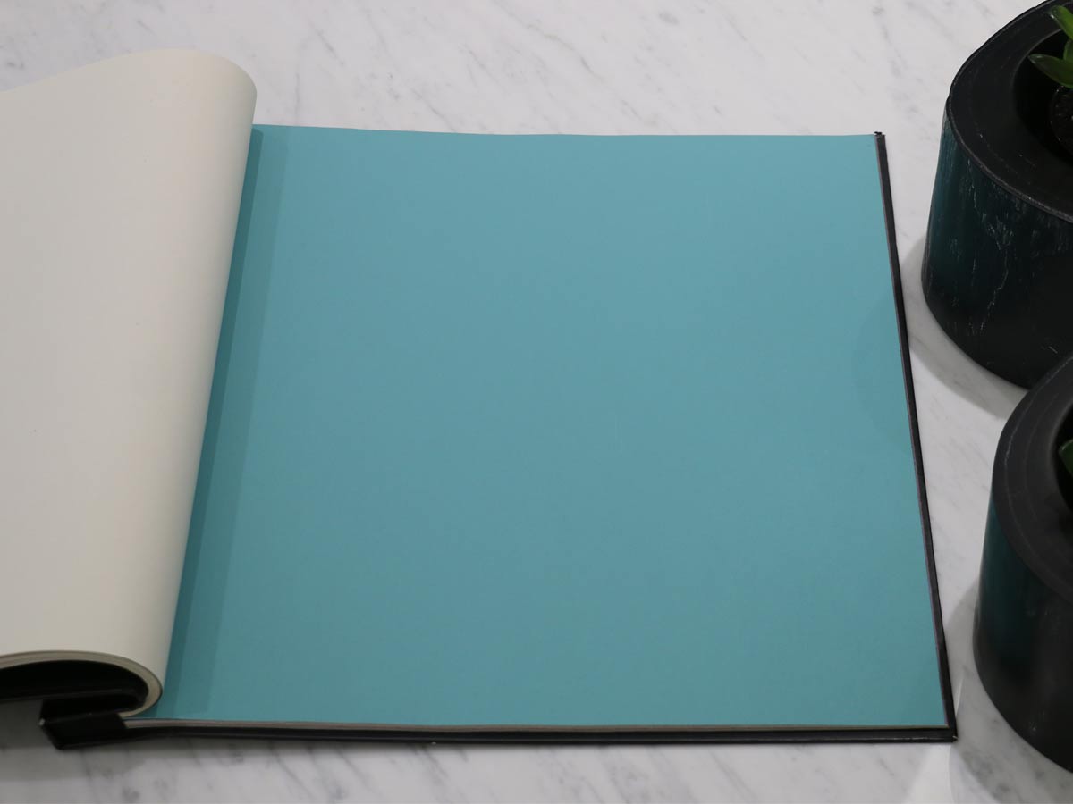 FIONA COLOURS-311032