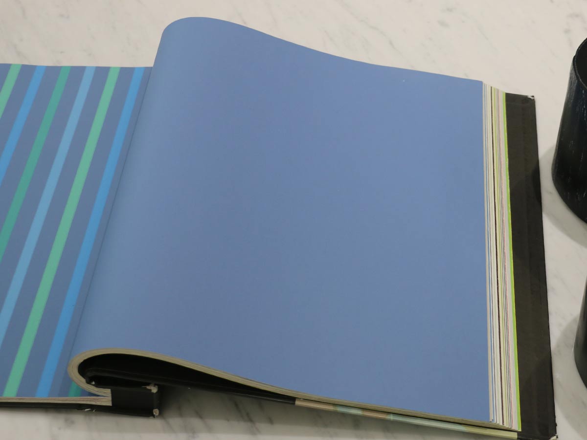 FIONA COLOURS-311036