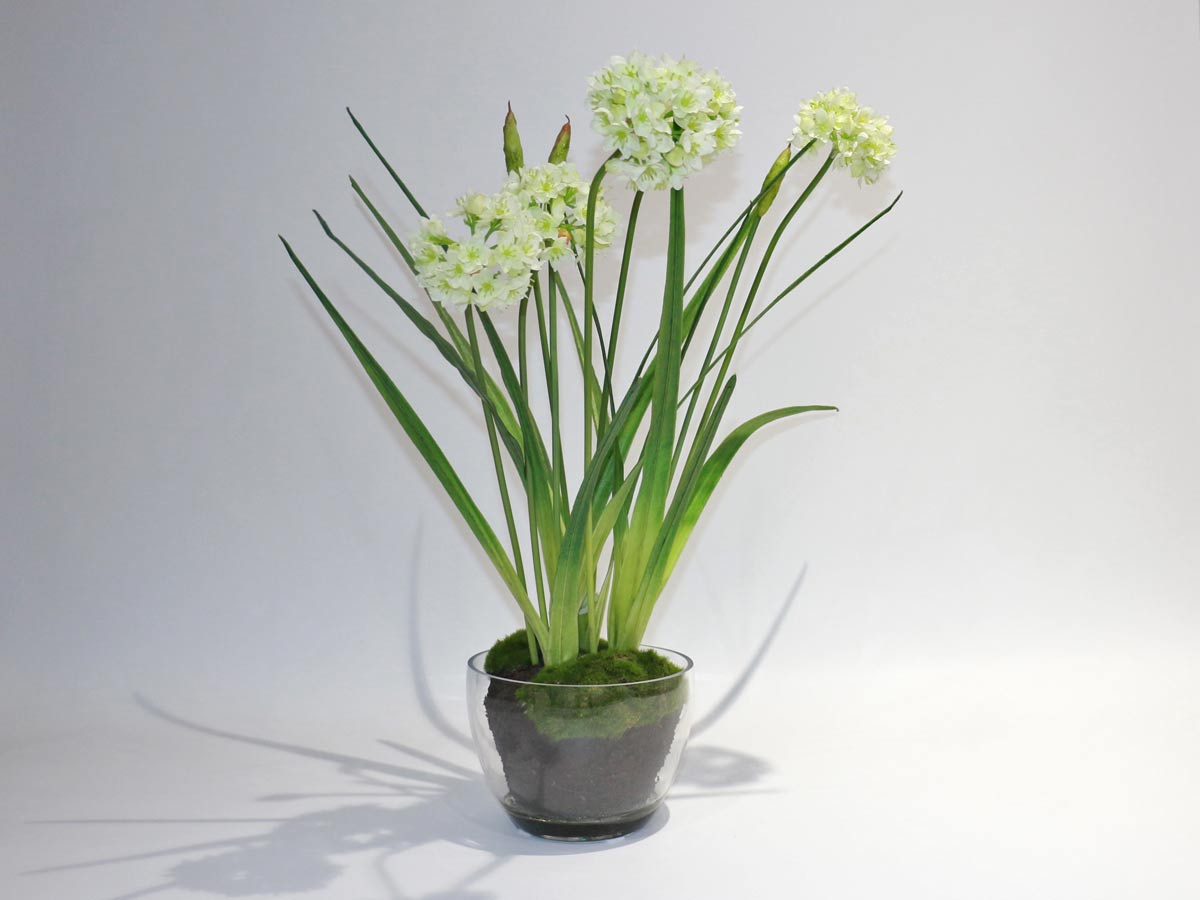 white artificial plant in clear glass
