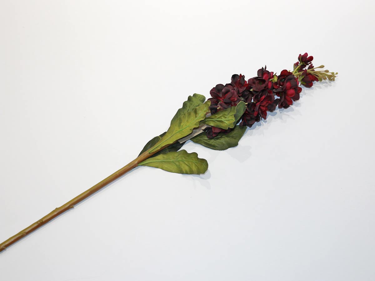 bordeau stock flower 76cm