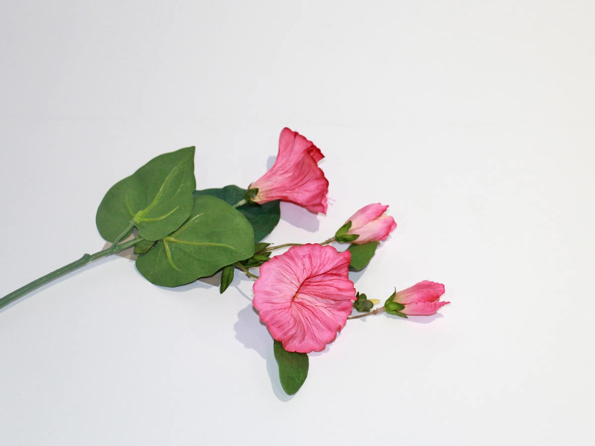 dark pink trumpet flower 40 cm