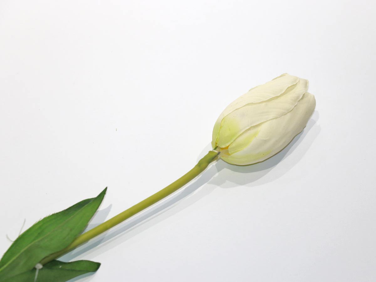 white tulip 74 cm